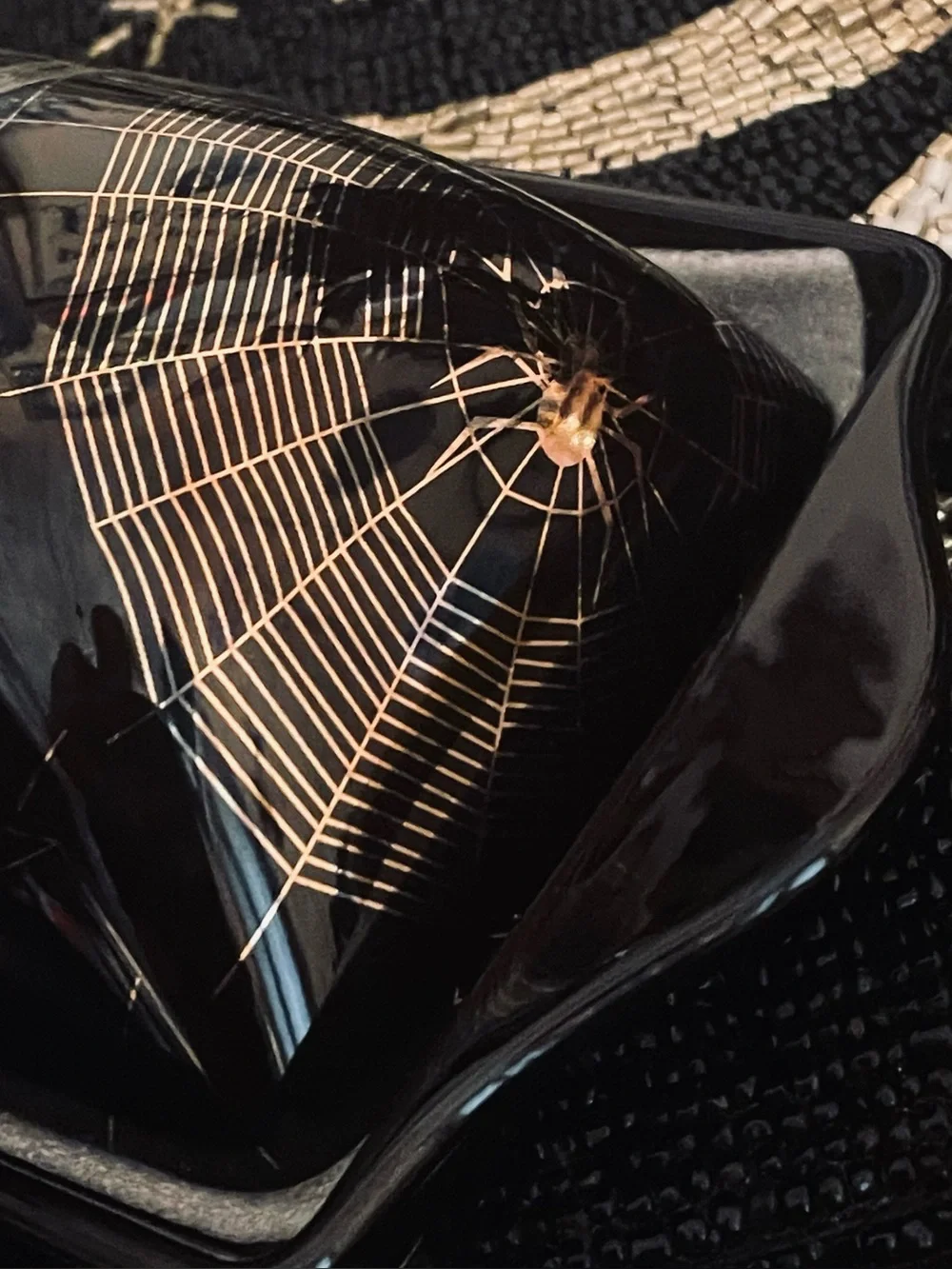 PARK CHATEAU NWOT Black Ceramic Butter Dish with Gold Spider Webbing Accent